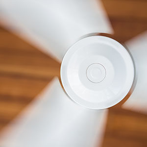 palme d'un ventilateur en train de tourner